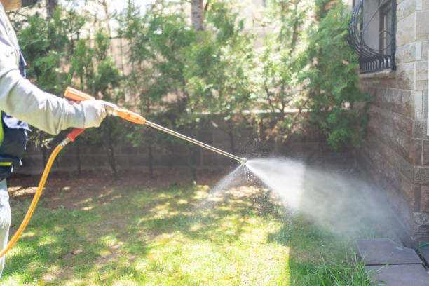 Best Mosquito Control Services  in Hockessin, DE